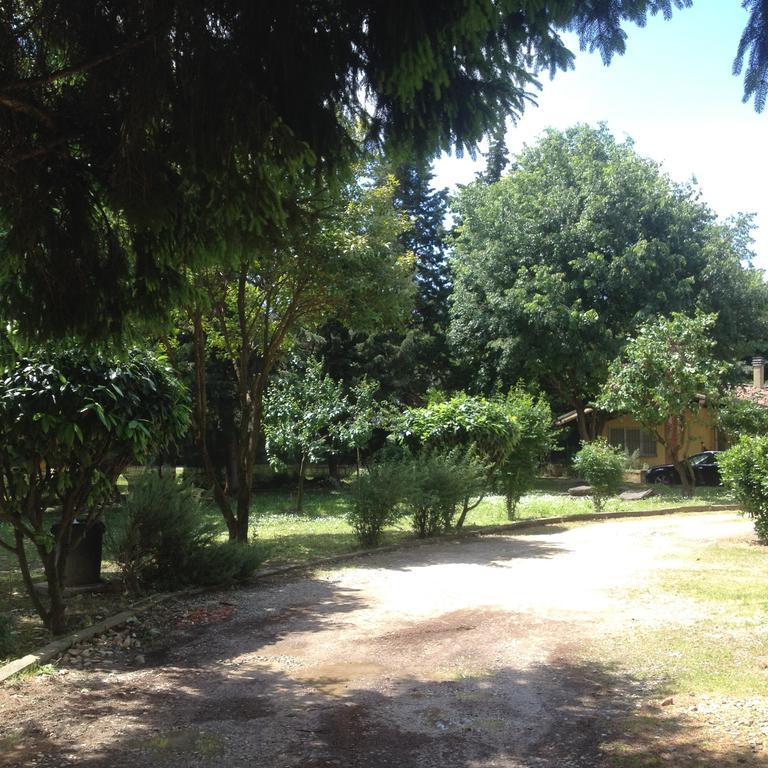 La Piccola Oasi Con Parcheggio Apartment Флоренция Екстериор снимка